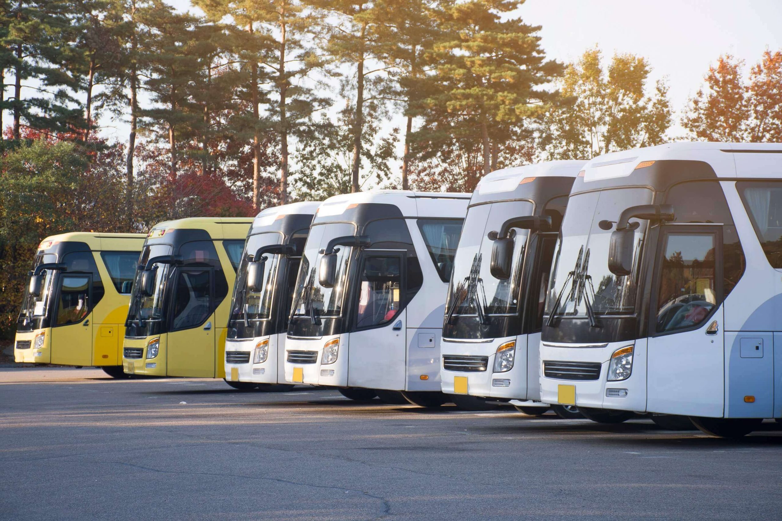 Primeiros passos para organizar a Gestão de Frota